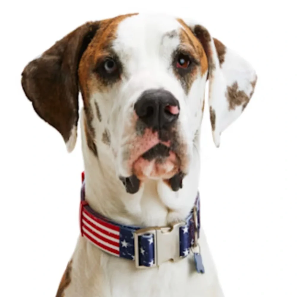 NWT American Flag Dog Collar XXL/XXXL